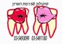 B144 Logo - Link to main page